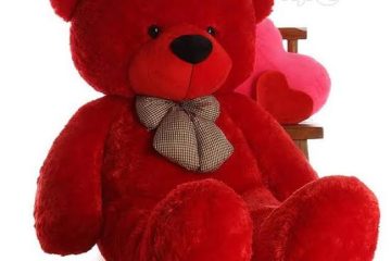 Dual Lens Solar CCTV CameraAlabaMarket247 - Alaba International Market Online Store