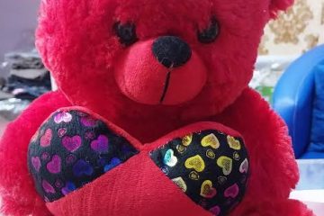 Dual Lens Solar CCTV CameraAlabaMarket247 - Alaba International Market Online Store