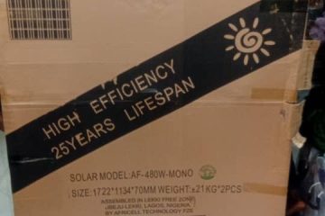 Two lion ELECTRIC STEAM IRONAlabaMarket247 - Alaba International Market Online Store